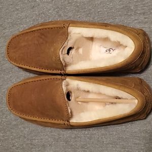 Men's brand new Uggs